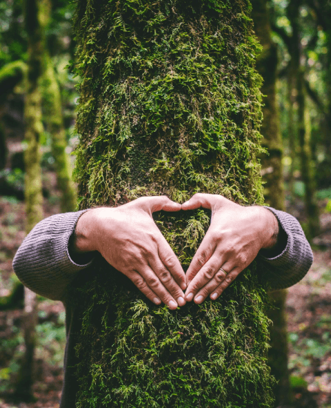 Consciência Ambiental